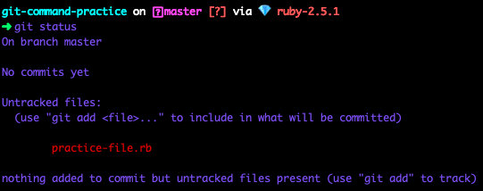 git status 的终端截图