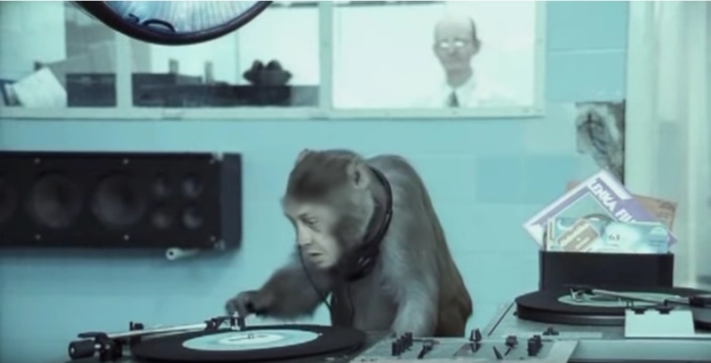 你的头在哪儿？