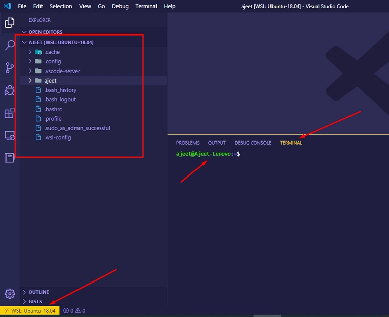 远程 WSL 的 VS Code 编辑器视图