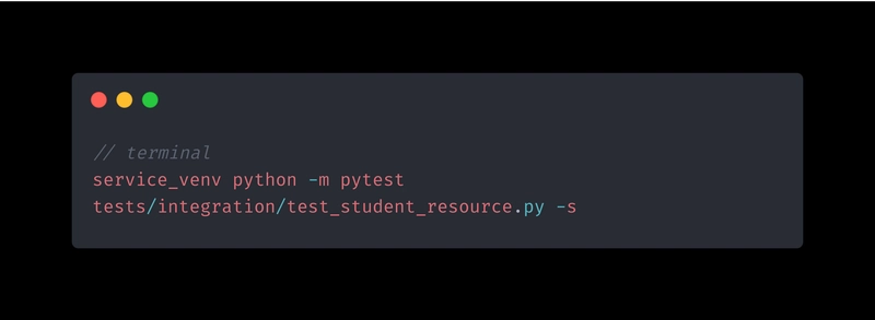 查看 pytest 结果的控制台输出