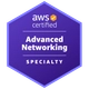 AWS 认证高级网络 - 专业徽章