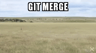 git 合并动画
