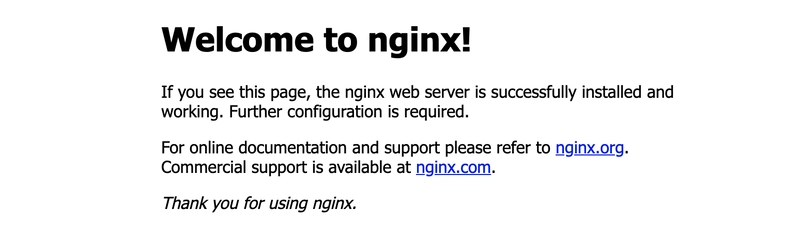 启动 nginx