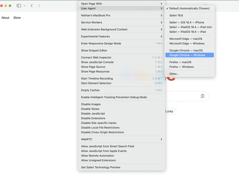 Safari tab3