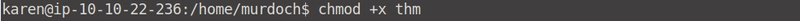 Linux 特权增强