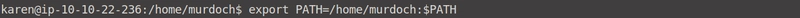 Linux 特权增强