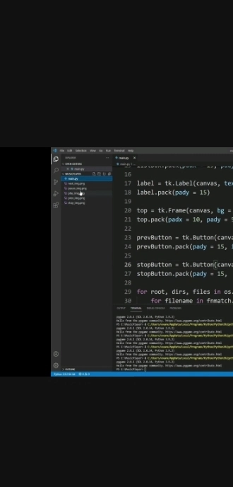 创建的 Python 文件中的音乐图标