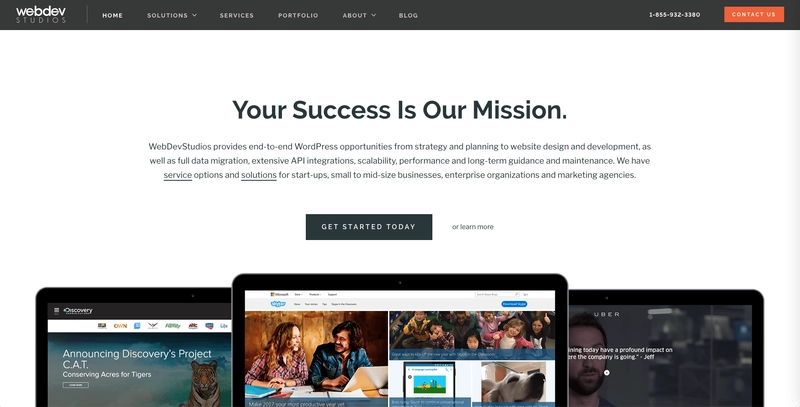 WordPress