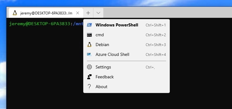 适用于 Linux WSL 的 Windows 子系统