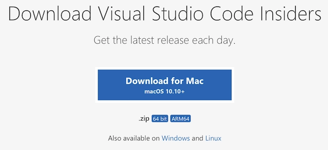 VS Code 内部人士