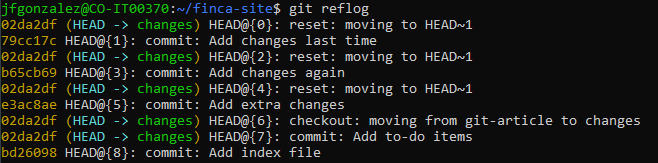 Git 引用日志