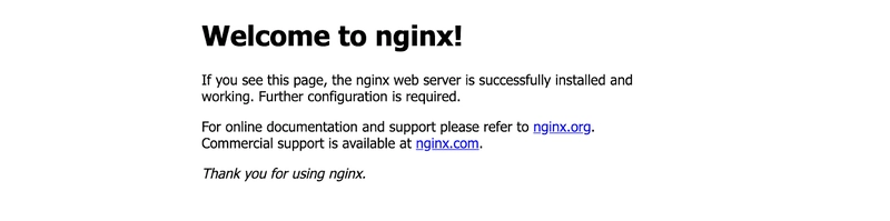 Nginx 运行