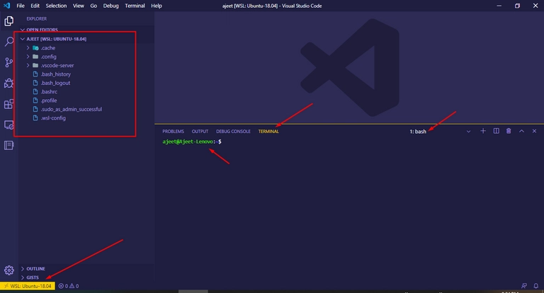远程 WSL 的 VS Code 编辑器视图