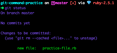 git add 后 git 状态的终端截图