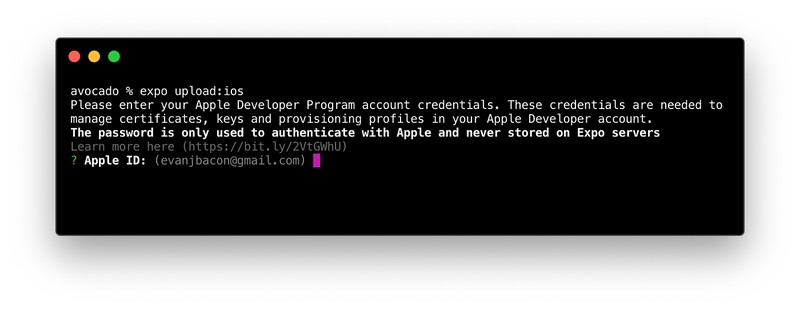 带有 Apple ID 建议的 CLI 屏幕截图
