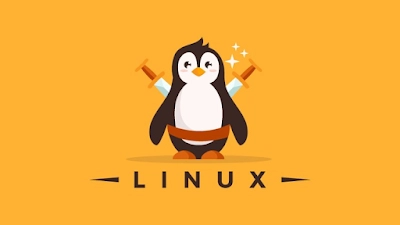 Udemy 上最适合初学者的 Linux 课程